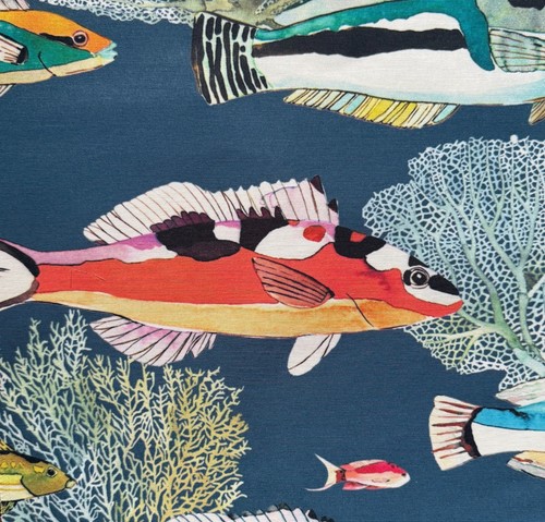 Manuel canovas fidji - manuel, marine
